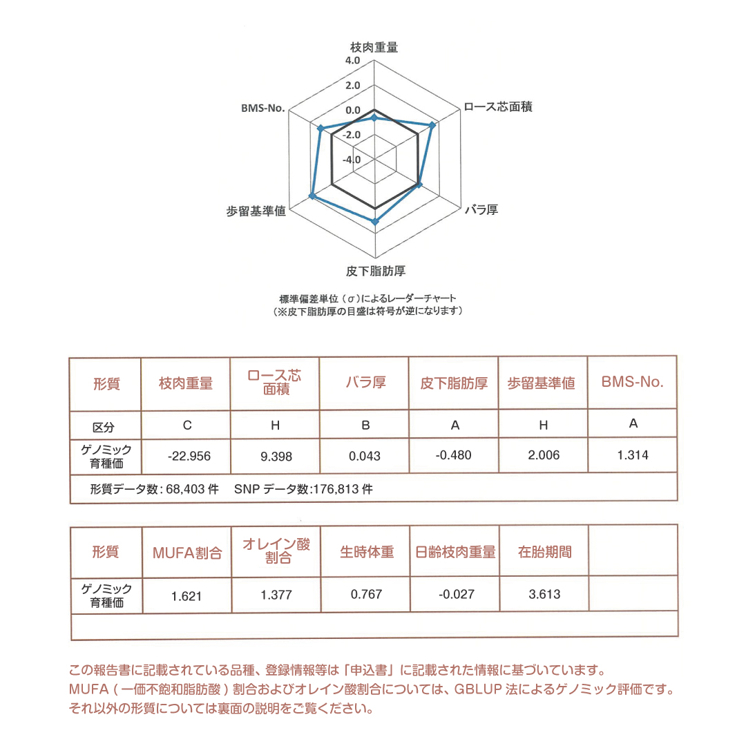 牛A